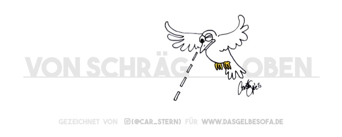Ein Vogel visiert sein Ziel an – von schräg oben!